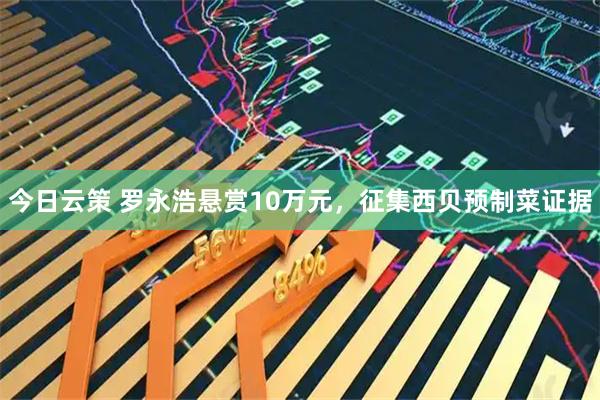今日云策 罗永浩悬赏10万元，征集西贝预制菜证据