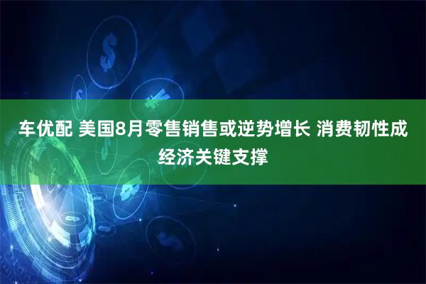 车优配 美国8月零售销售或逆势增长 消费韧性成经济关键支撑