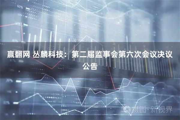 赢翻网 丛麟科技：第二届监事会第六次会议决议公告
