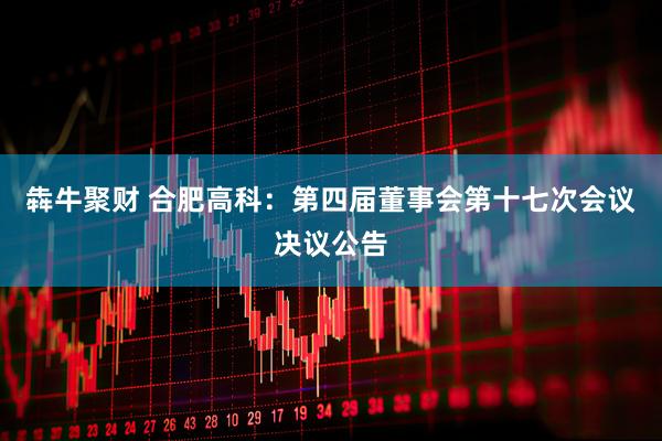 犇牛聚财 合肥高科：第四届董事会第十七次会议决议公告