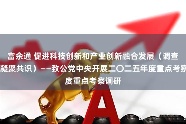 富余通 促进科技创新和产业创新融合发展（调查研究 凝聚共识）——致公党中央开展二〇二五年度重点考察调研