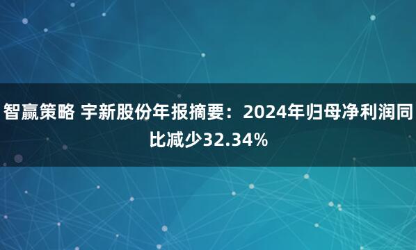 智赢策略 宇新股份年报摘要：2024年归母净利润同比减少32.34%