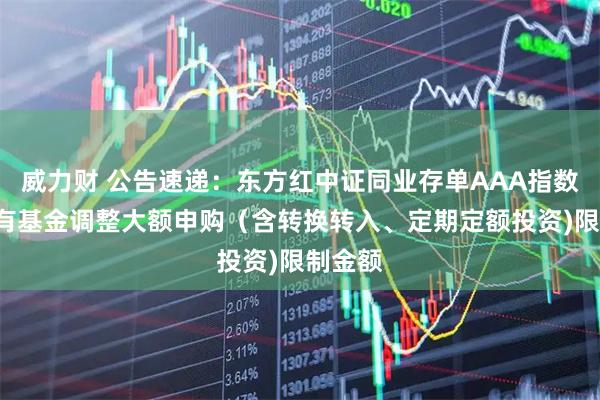 威力财 公告速递：东方红中证同业存单AAA指数7天持有基金调整大额申购（含转换转入、定期定额投资)限制金额