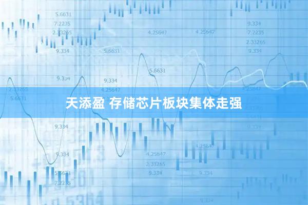 天添盈 存储芯片板块集体走强