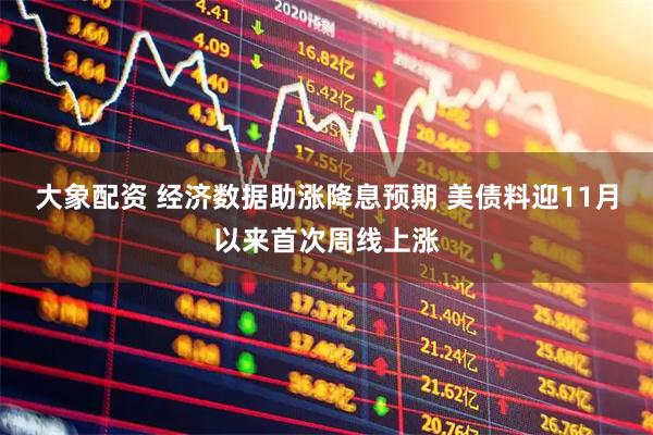大象配资 经济数据助涨降息预期 美债料迎11月以来首次周线上涨